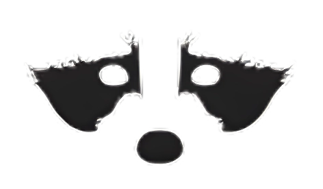 logo da raccons
